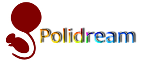 polidream polidream