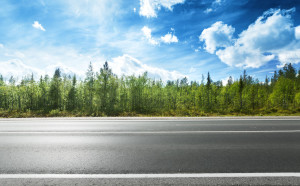 asphalt road and forest